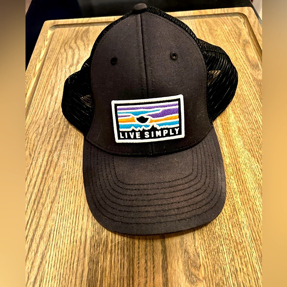 Patagonia Sunset Mountain Live Simply Trucker Vintage Hat - RARE